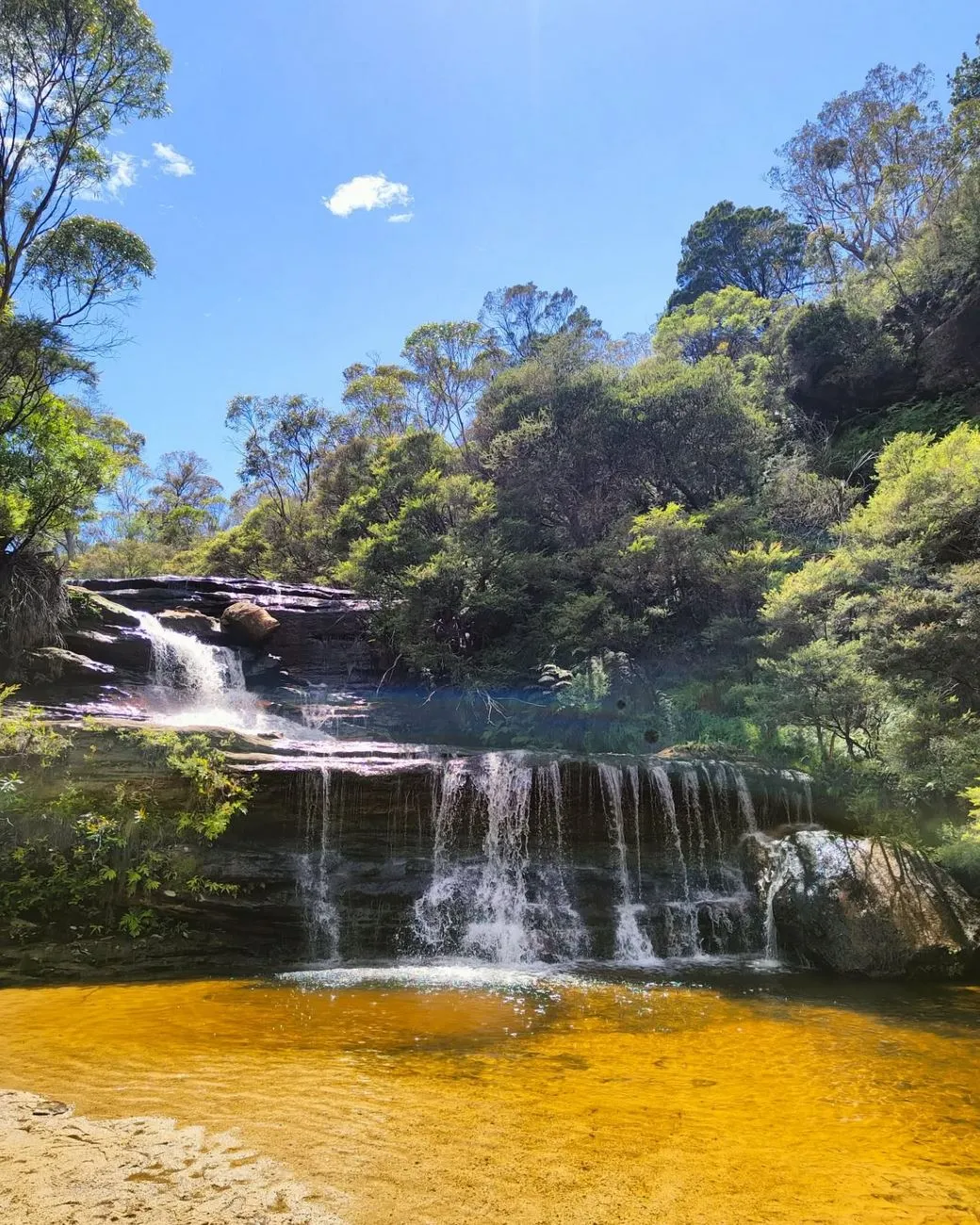 Blue Mountains National Park