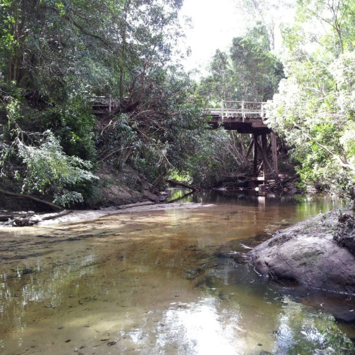 Blue Mountains Tours