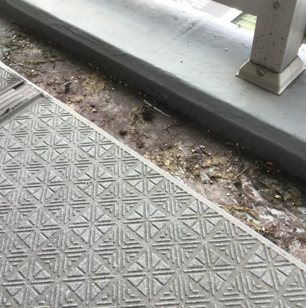 New Age Auto Store | Balcony Cleaning Cleaning Process