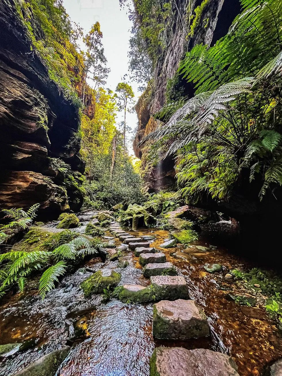 New Age Auto Store | I Don’t Have a Car — Can I Still Explore the Blue Mountains Easily? Grand Canyon Track