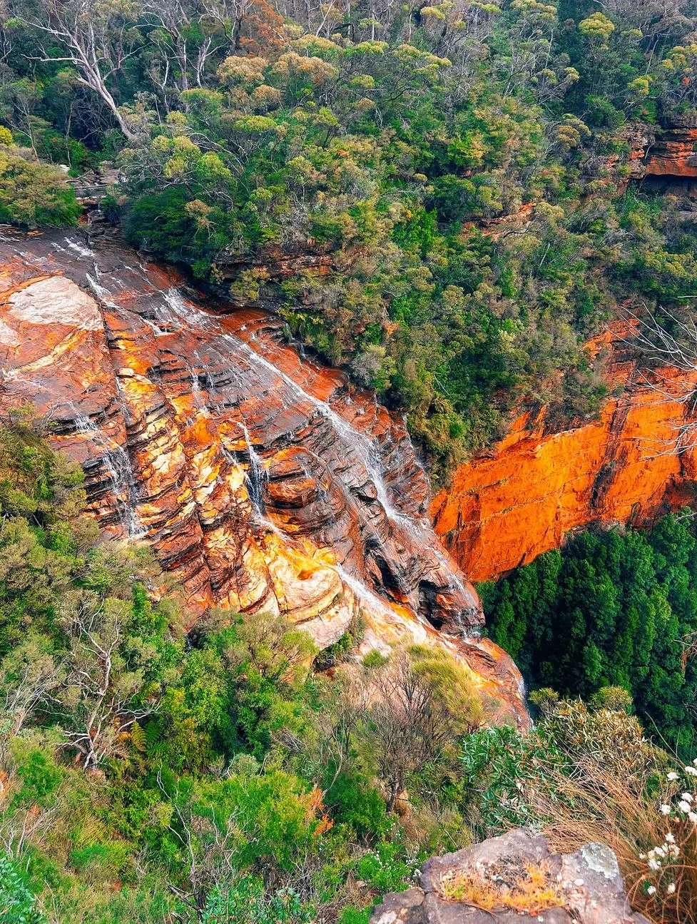 New Age Auto Store | I Don’t Have a Car — Can I Still Explore the Blue Mountains Easily? I Don’t Have a Car — Can I Still Explore the Blue Mountains Easily