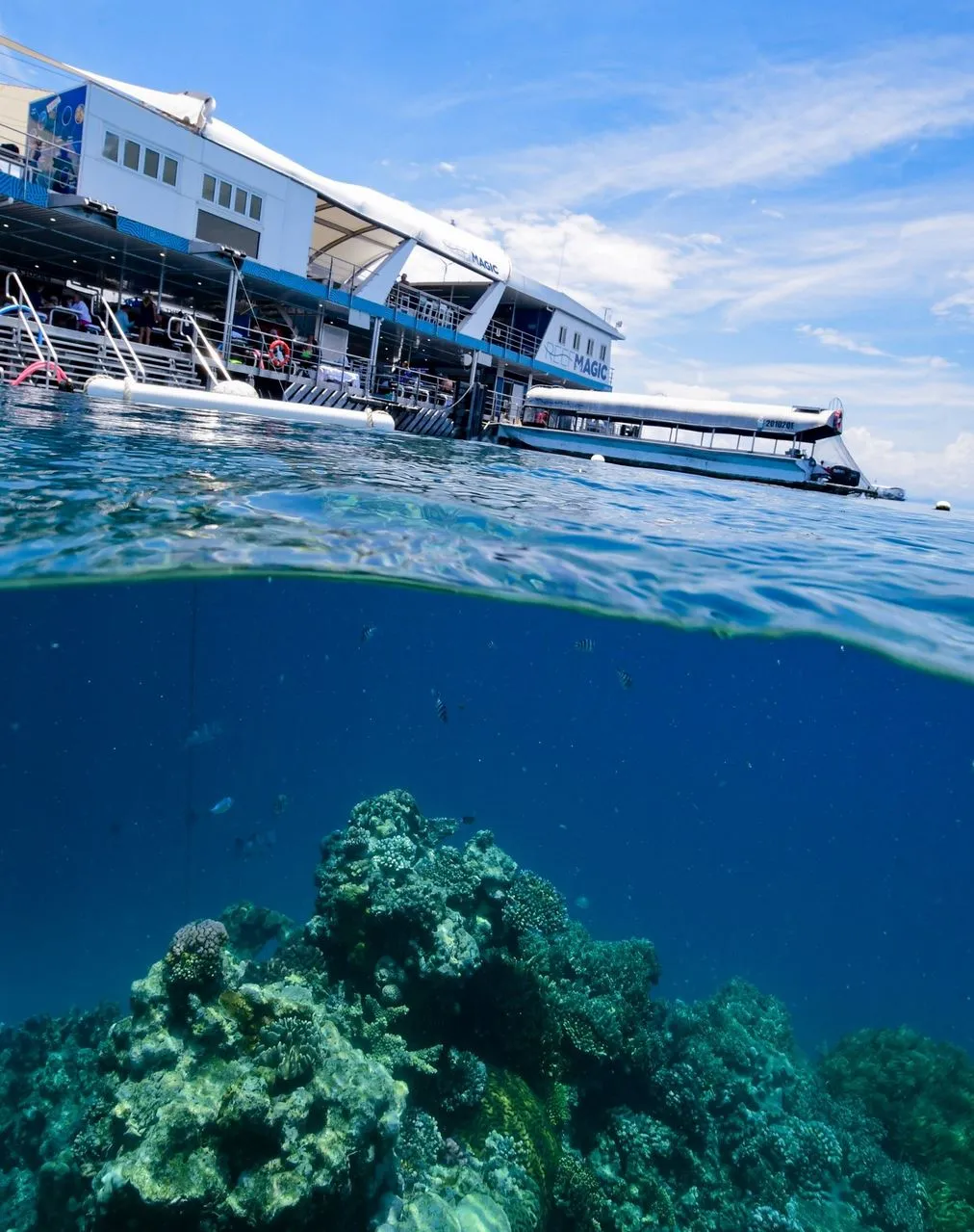 New Age Auto Store | What Is the Best Pontoon Accommodation on the Great Barrier Reef? Reef Magic Pontoon (Moore Reef)
