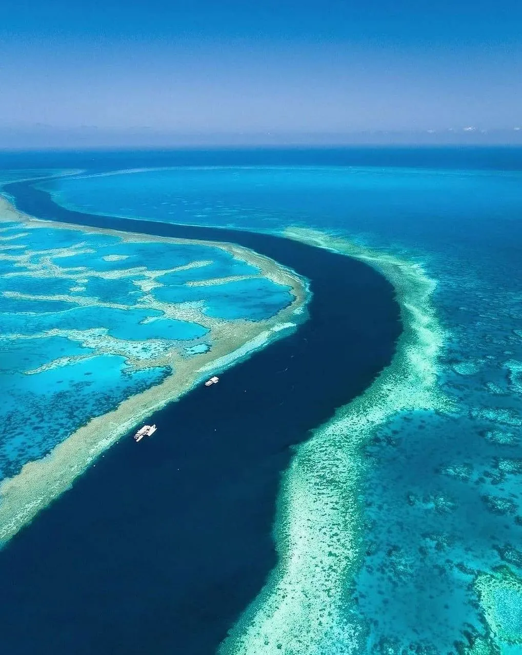 New Age Auto Store | What Is the Best Pontoon Accommodation on the Great Barrier Reef? Reefworld Pontoon