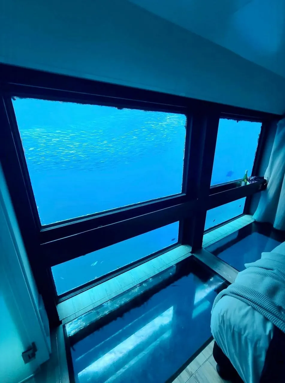 New Age Auto Store | What Is the Best Pontoon Accommodation on the Great Barrier Reef? The Best Ways to Spend a Night Offshore