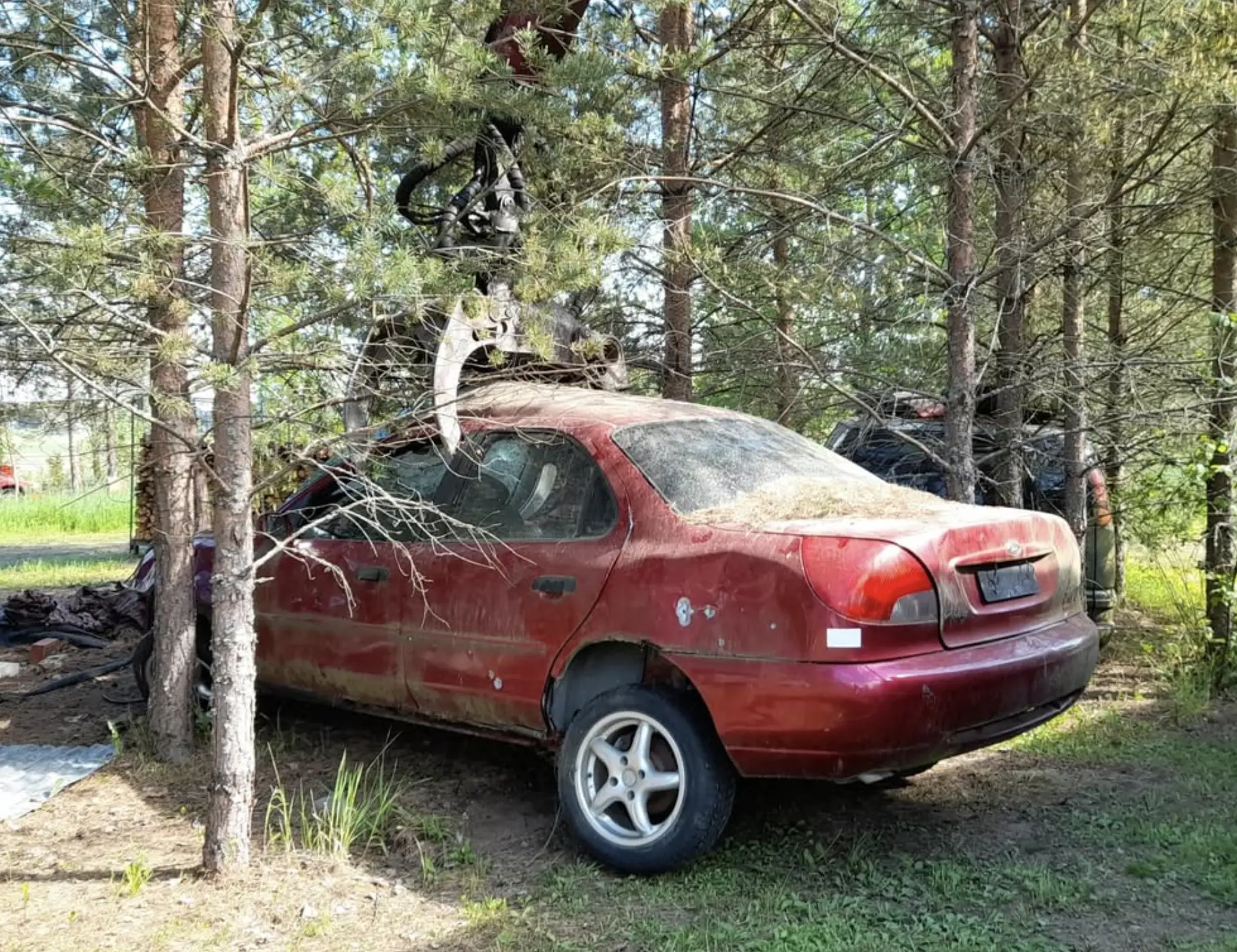 New Age Auto Store | What causes a car to be dead? cash for cars in Sandringham