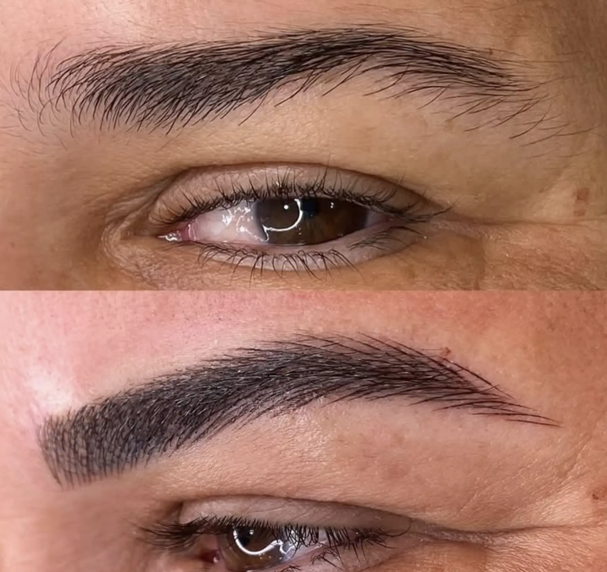 eyebrow course for beginners
