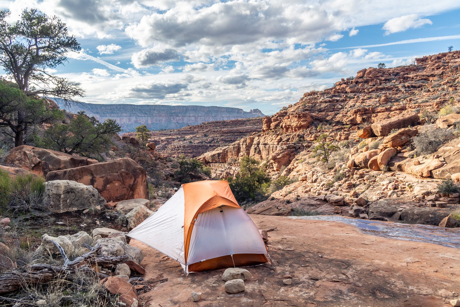 Uncover the Wonders of Kings Canyon through Expertly Guided Excursions