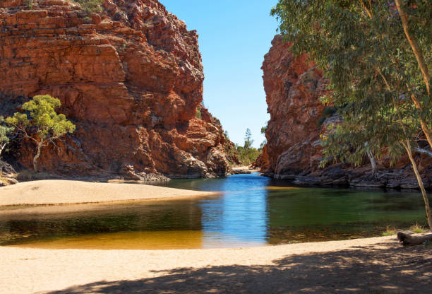 New Age Auto Store | Explore Alice Springs: Your Comprehensive Guide to Australia's Red Centre